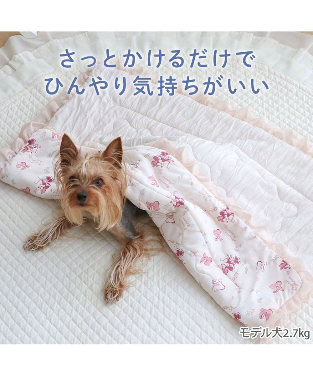 PET PARADISE ディズニー ミニーマウス もちっと クール ブランケット 《ハート柄》 