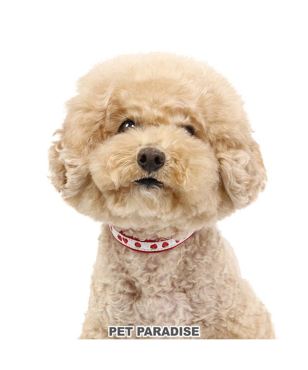 PET PARADISE ペットパラダイス 苺チャーム付き首輪 Ｓ 