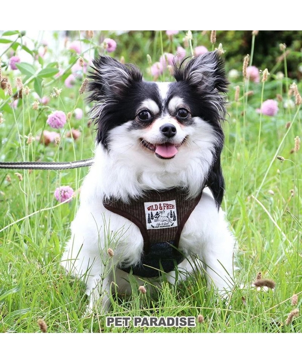 犬 ハーネスリード 3s コーデュロイ 小型犬 おさんぽ おでかけ お出掛け おしゃれ オシャレ かわいい Pet Paradise 通販 雑貨とペット用品の通販サイト マザーガーデン ペットパラダイス 犬 ハーネスリード 3s コーデュロイ 小型犬 おさんぽ おでかけ お出掛け おしゃれ オシャレ かわいい Pet Paradise 通販 雑貨とペット用品の通販サイト マザーガーデン ペットパラダイス