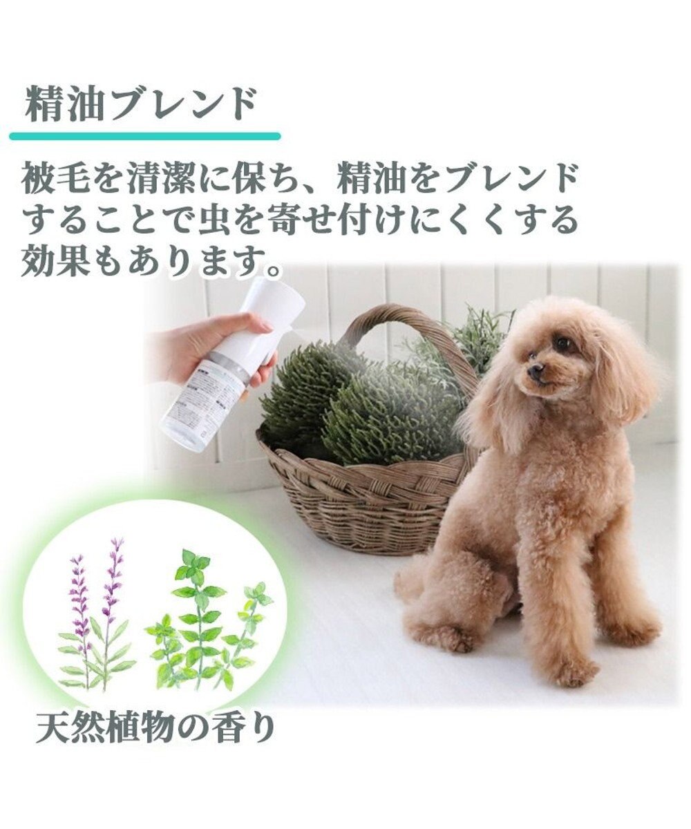 PET PARADISE モバイルシャワー 詰め替え 300ｍＬフローラルグリーンの香り 