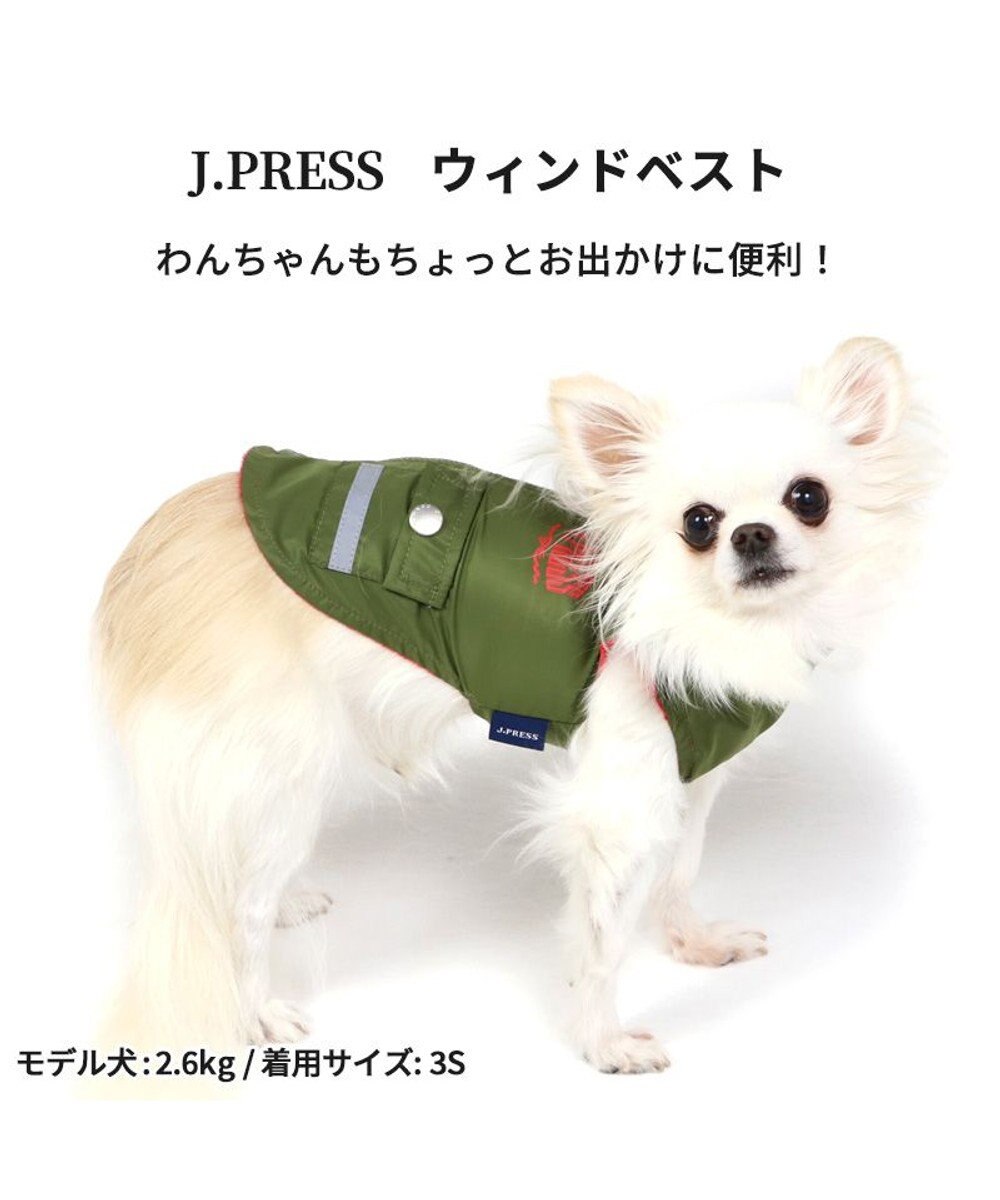 生まれのブランドで NEIGHBORHOOD DOG HARNESS GRAY M ハーネス 犬用 首輪・ハーネス・リード