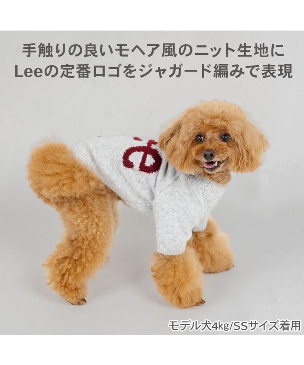 PET PARADISE Lee モヘア ロゴニット 《グレー》 小型犬 