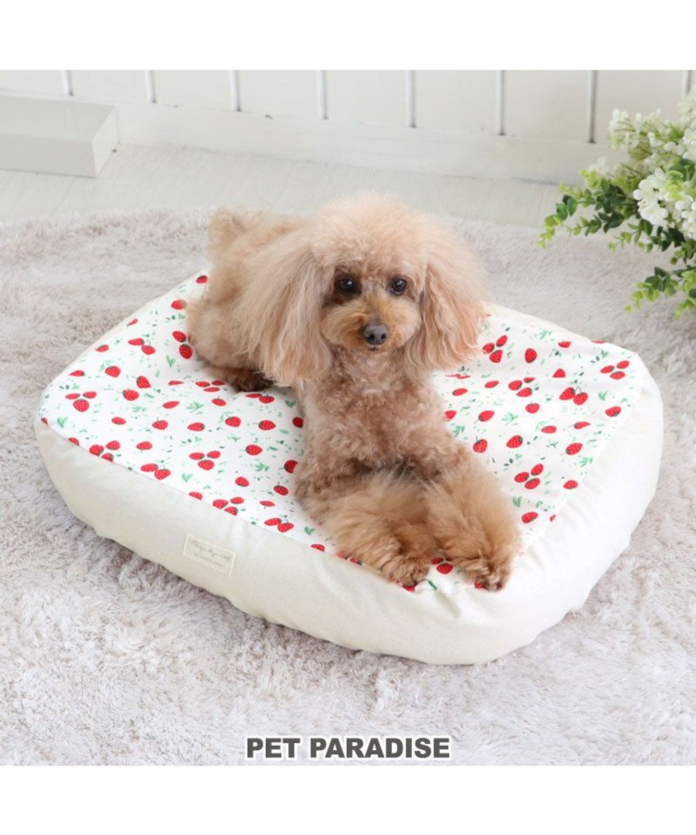 PET PARADISE 犬 ベッド おしゃれ (57×45cm) 苺柄 イチゴ いちご 着脱カバー 犬 猫 ベッド マット 小型犬 介護 おしゃれ かわいい ふわふわ  あごのせ 苺柄