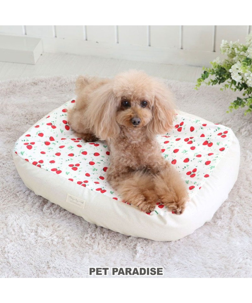 犬 ベッド おしゃれ 57 45cm 苺柄 イチゴ いちご 着脱カバー 犬 猫 ベッド マット 小型犬 介護 おしゃれ かわいい ふわふわ あごのせ Pet Paradise 通販 雑貨とペット用品の通販サイト マザーガーデン ペットパラダイス 犬 ベッド おしゃれ 57 45cm 苺柄 イチゴ いちご 着脱カバー 犬 猫 ベッド マット 小型犬 介護 おしゃれ かわいい ふわふわ あごのせ Pet Paradise 通販 雑貨とペット用品の通販サイト マザーガーデン ペットパラダイス