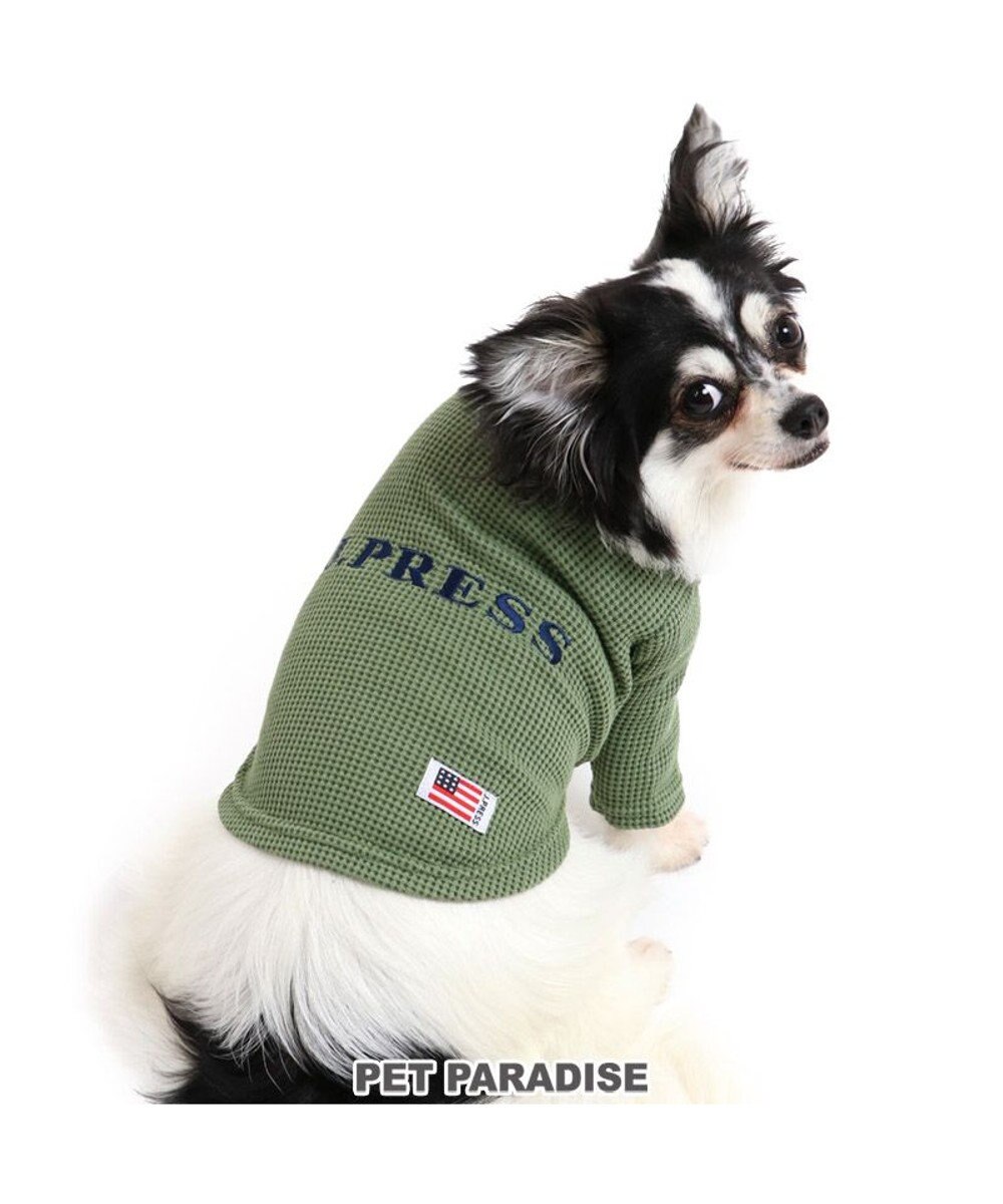 犬 服 J Press Tシャツ 小型犬 ワッフル 刺繍 犬服 犬の服 犬 服 ペットウエア ペットウェア ドッグウエア ドッグウェア ベビー 超小型犬 小型犬 Pet Paradise 通販 雑貨とペット用品の通販サイト マザーガーデン ペットパラダイス 犬 服 J Press Tシャツ 小型犬 ワッフル 刺繍 犬服 犬の服 犬 服 ペットウエア ペットウェア ドッグウエア ドッグウェア ベビー 超小型犬 小型犬 Pet Paradise 通販 雑貨とペット用品の通販サイト マザーガーデン ペットパラダイス