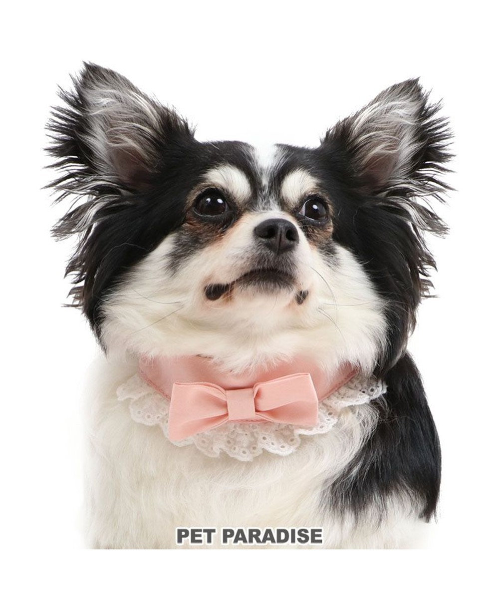 犬 首輪 3s りぼん 小型犬 リボン おさんぽ おでかけ お出掛け おしゃれ オシャレ かわいい Pet Paradise 通販 雑貨とペット用品の通販サイト マザーガーデン ペットパラダイス 犬 首輪 3s りぼん 小型犬 リボン おさんぽ おでかけ お出掛け おしゃれ オシャレ かわいい Pet Paradise 通販 雑貨とペット用品の通販サイト マザーガーデン ペットパラダイス