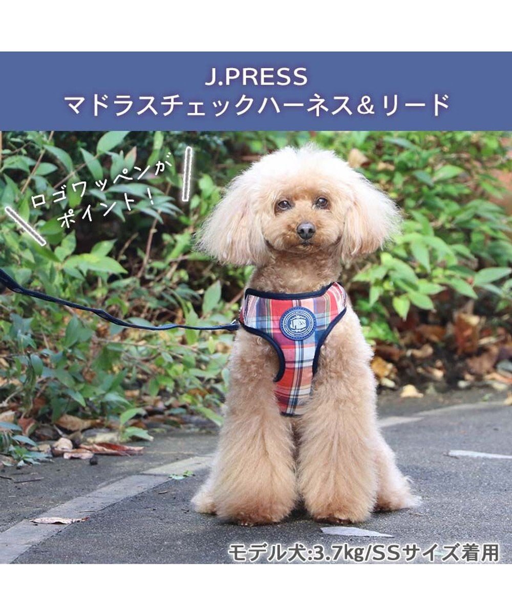 犬用【本革】multicolored リード＆ハーネス2点SET❣️ 犬用【本革】multicolored リード＆ハーネス2点SET❣️