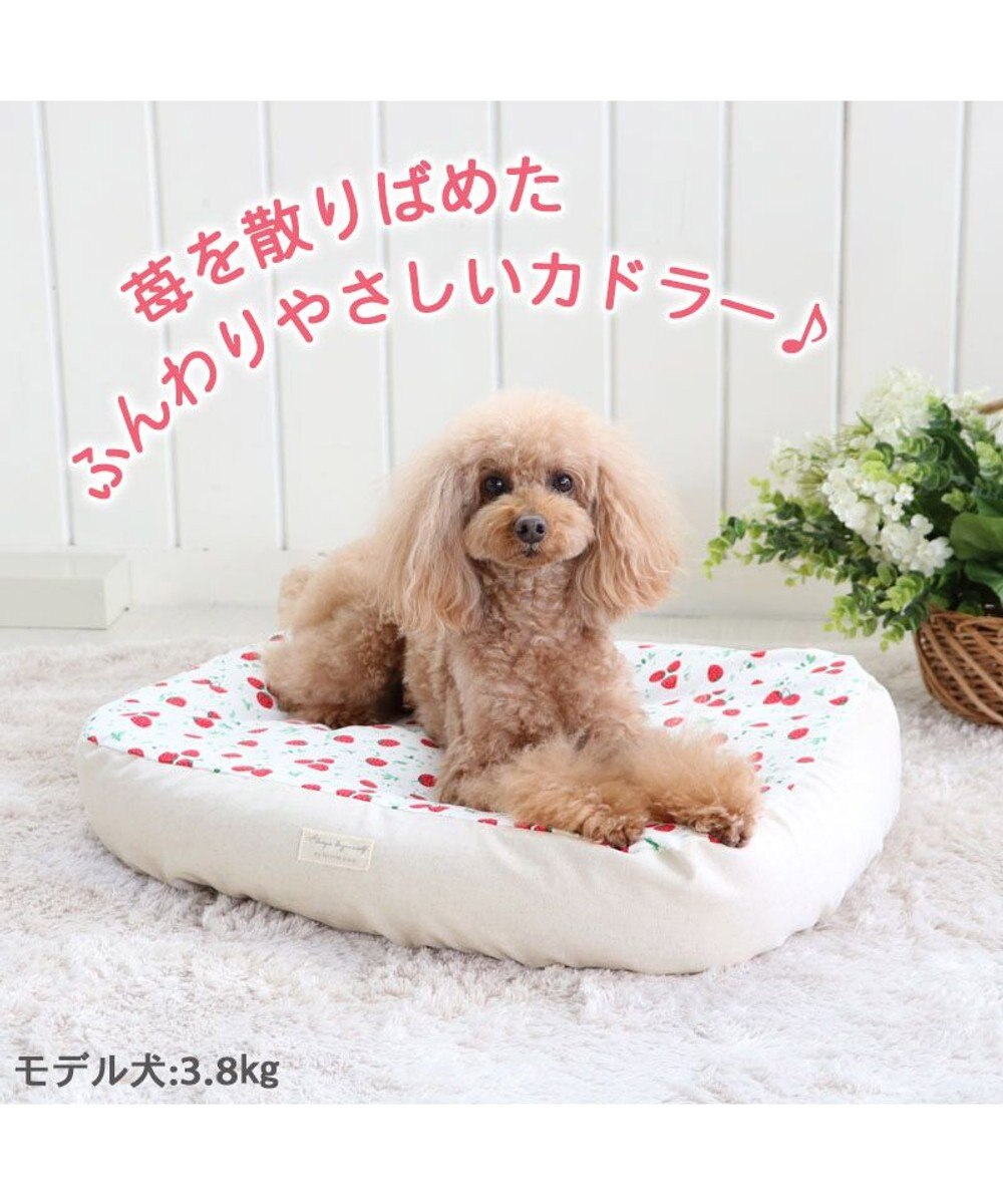 犬 ベッド おしゃれ 57 45cm 苺柄 イチゴ いちご 着脱カバー 犬 猫 ベッド マット 小型犬 介護 おしゃれ かわいい ふわふわ あごのせ Pet Paradise 通販 雑貨とペット用品の通販サイト マザーガーデン ペットパラダイス 犬 ベッド おしゃれ 57 45cm 苺柄 イチゴ いちご 着脱カバー 犬 猫 ベッド マット 小型犬 介護 おしゃれ かわいい ふわふわ あごのせ Pet Paradise 通販 雑貨とペット用品の通販サイト マザーガーデン ペットパラダイス