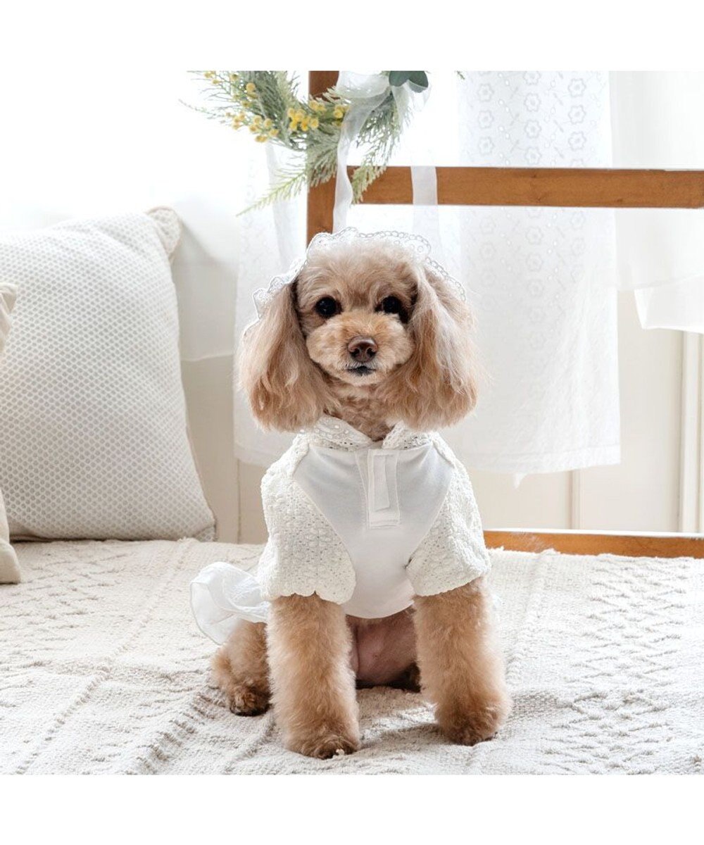 PET PARADISE ペットパラダイス ふりふり レースパーカー 小型犬 