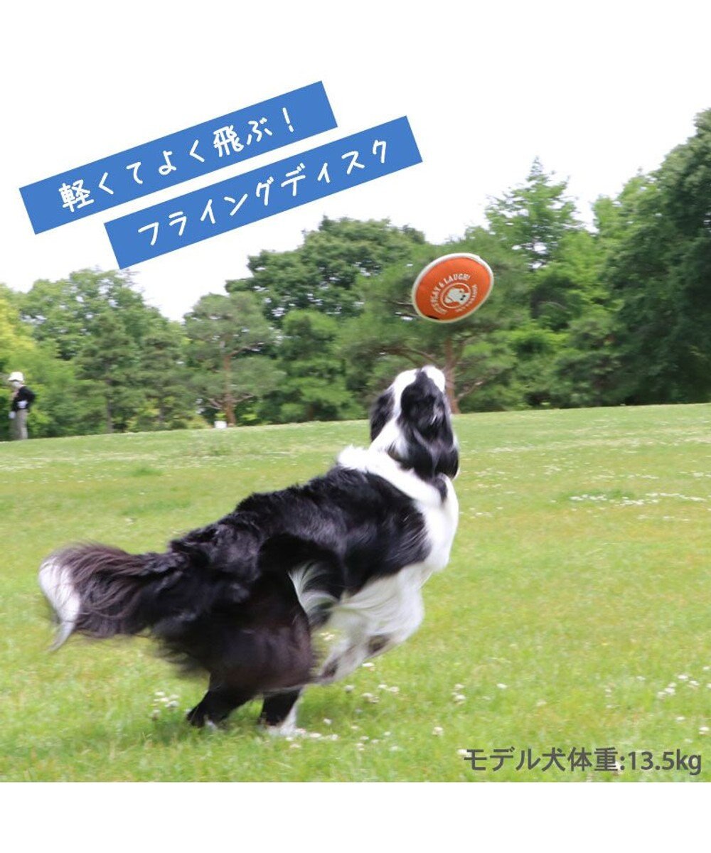 PET PARADISE ペットパラダイス 水に浮く フライングディスク 