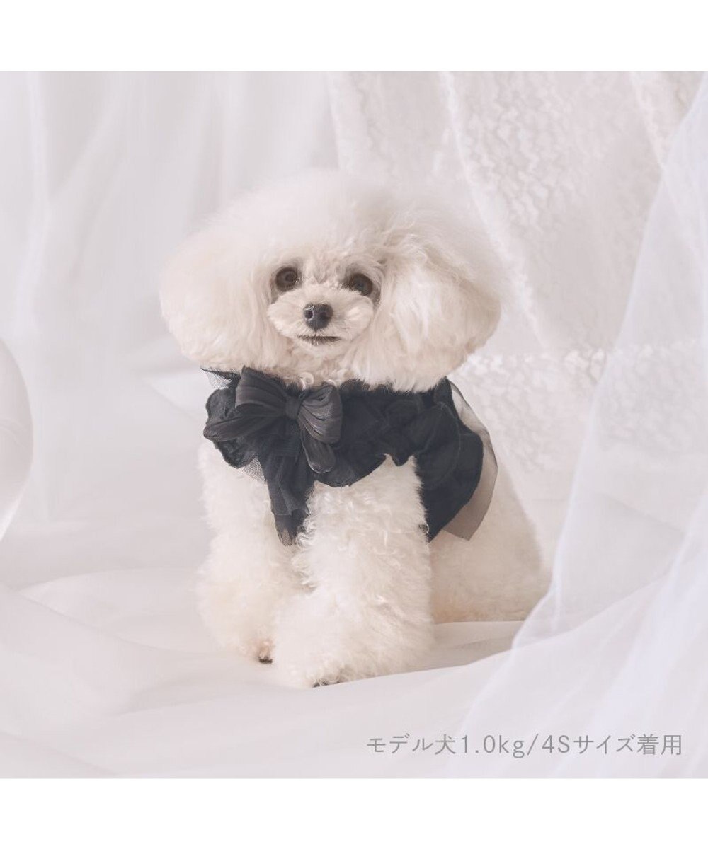 PET PARADISE cherircouture フリフリハーネス 《ブラック》 小型犬 ＳＳ 