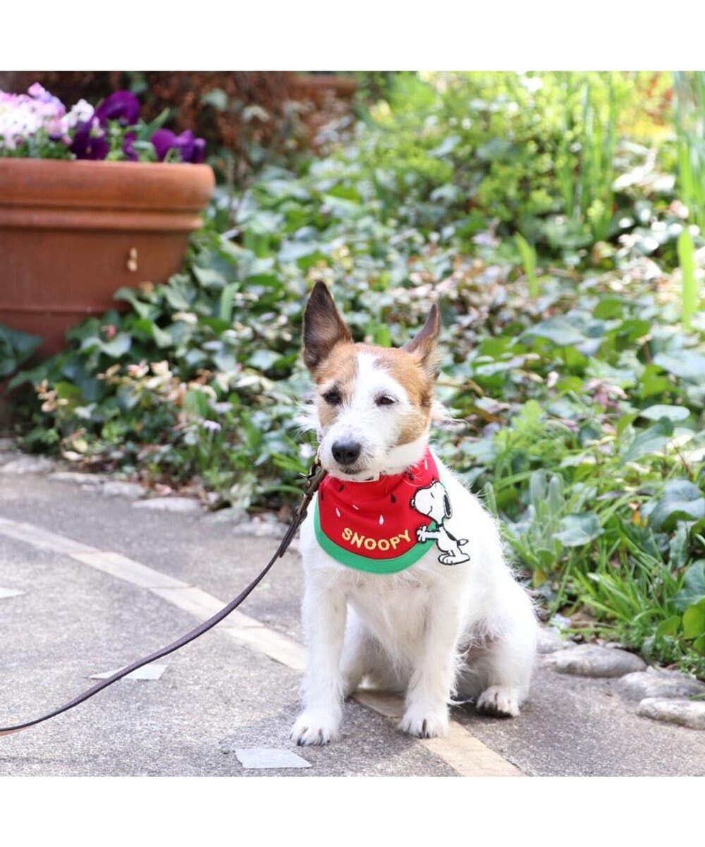 ひんやり バンダナ 保冷剤付き スヌーピー クールバンダナ 小型犬 スイカ ネッククーラー 夏 ひんやり バンダナ ひんやり 涼感 冷却 吸水速乾 Pet Paradise 通販 雑貨とペット用品の通販サイト マザーガーデン ペットパラダイス