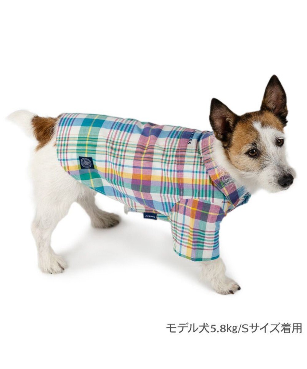 PET PARADISE J.PRESS マドラスチェック シャツ 小型犬 