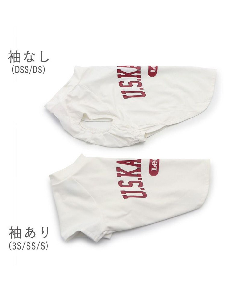 PET PARADISE 犬の服 犬 Ｌｅｅ tシャツ 【小型犬】 カレッジ 