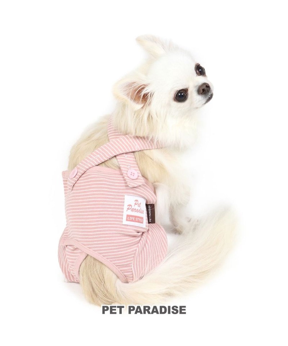 犬 服 夏服 マナーオール ピンク 小型犬 オムツ おむつ 術後服 サニタリー マナーベルト マナーパンツ Pet Paradise 通販 雑貨とペット用品の通販サイト マザーガーデン ペットパラダイス 犬 服 夏服 マナーオール ピンク 小型犬 オムツ おむつ 術後服 サニタリー マナーベルト マナーパンツ Pet Paradise 通販 雑貨とペット用品の通販サイト マザーガーデン ペットパラダイス