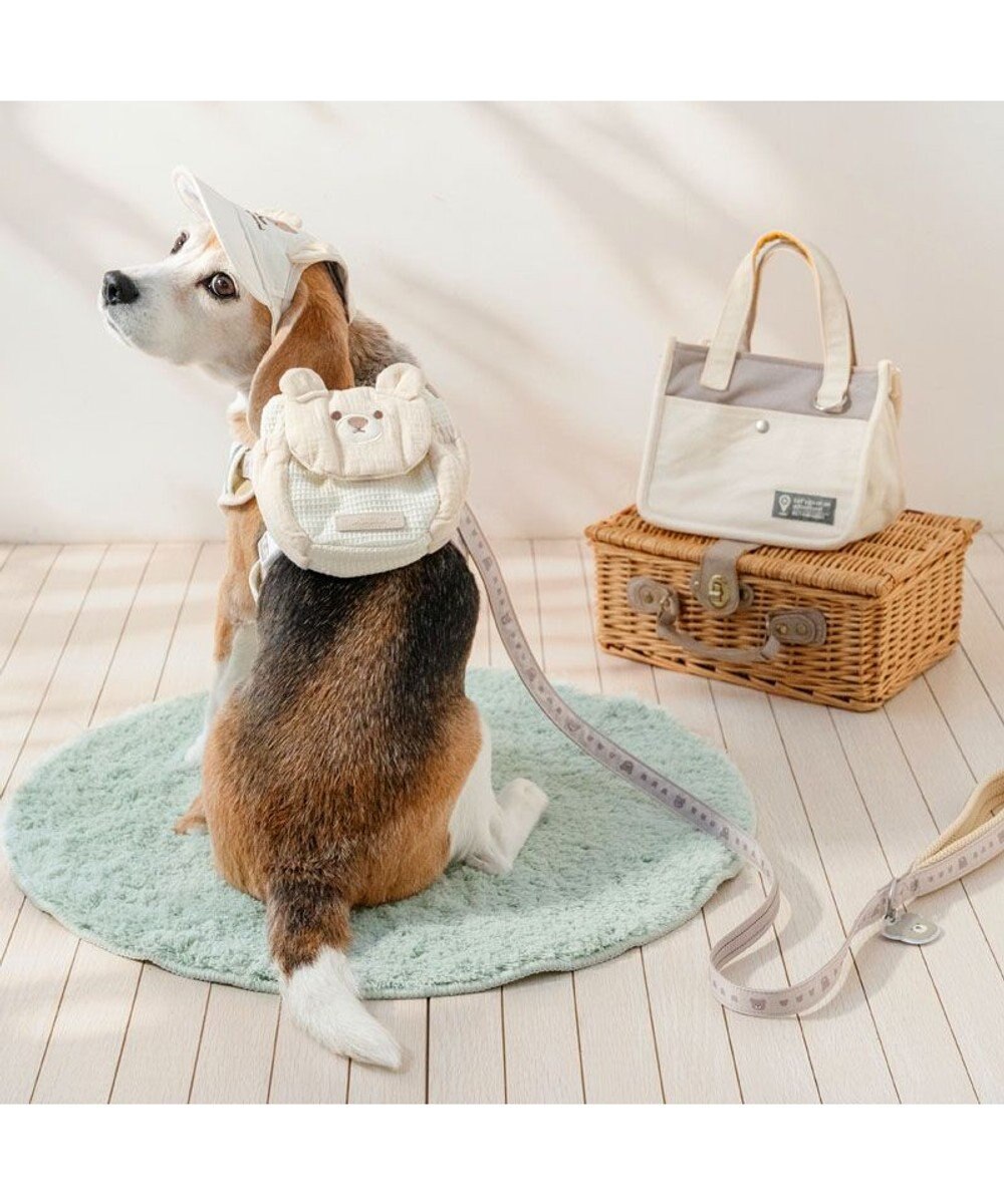 PET PARADISE ペットパラダイス くまチャームリード ＳＭ 