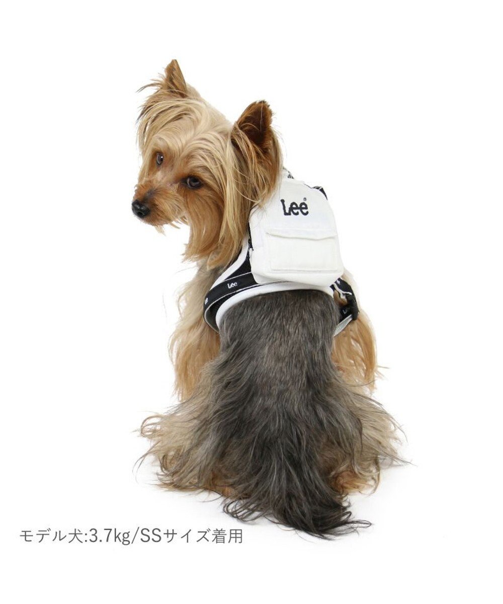 Lee ポケット付きハーネス ＳＳ~Ｓ 小型犬 PET PARADISE 【通販】雑貨とペット用品の通販サイト  マザーガーデン＆ペットパラダイス