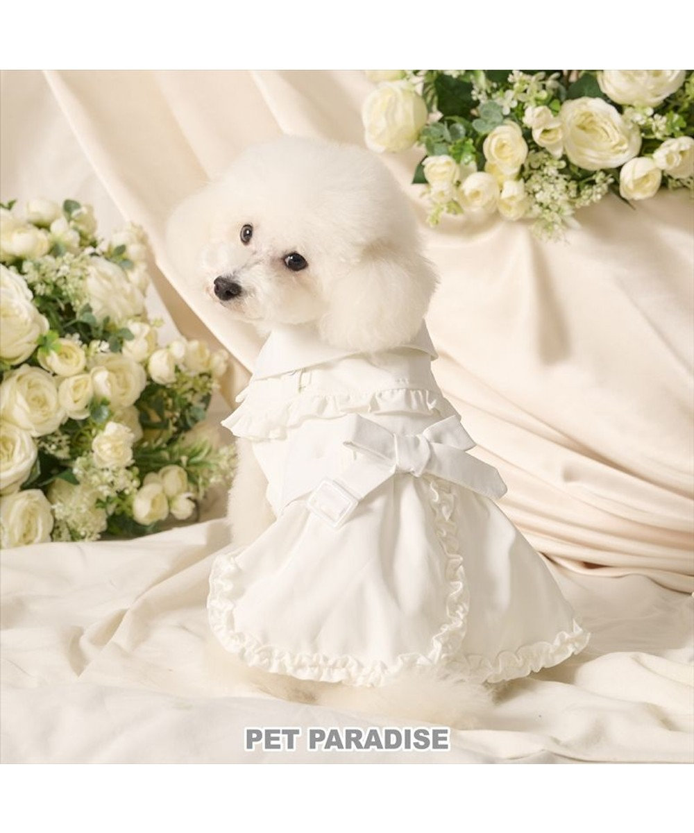 PET PARADISE cherircouture フリフリ トレンチコート 小型犬 オフホワイト