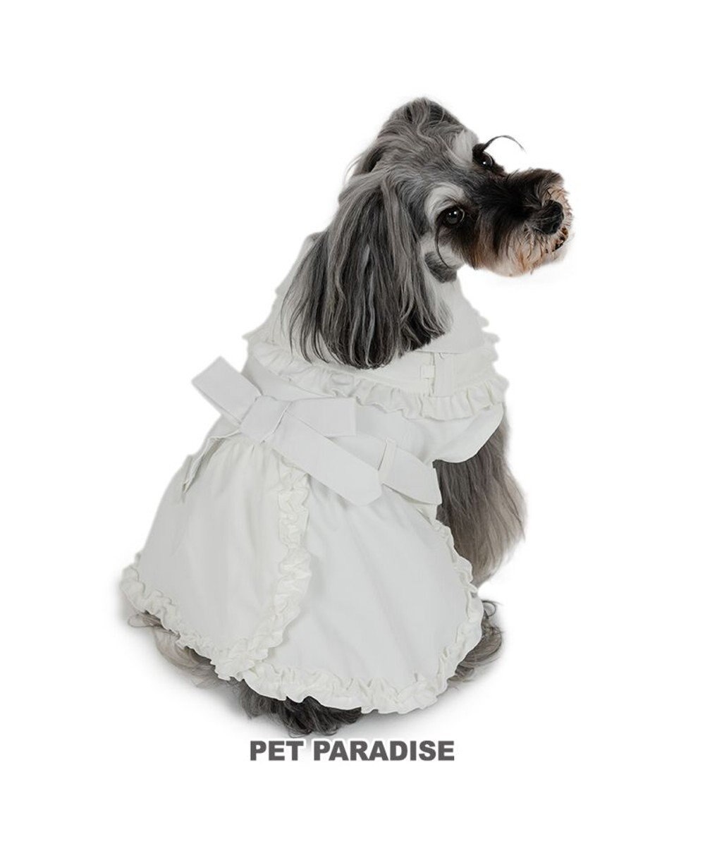 PET PARADISE cherircouture フリフリ トレンチコート 小型犬 
