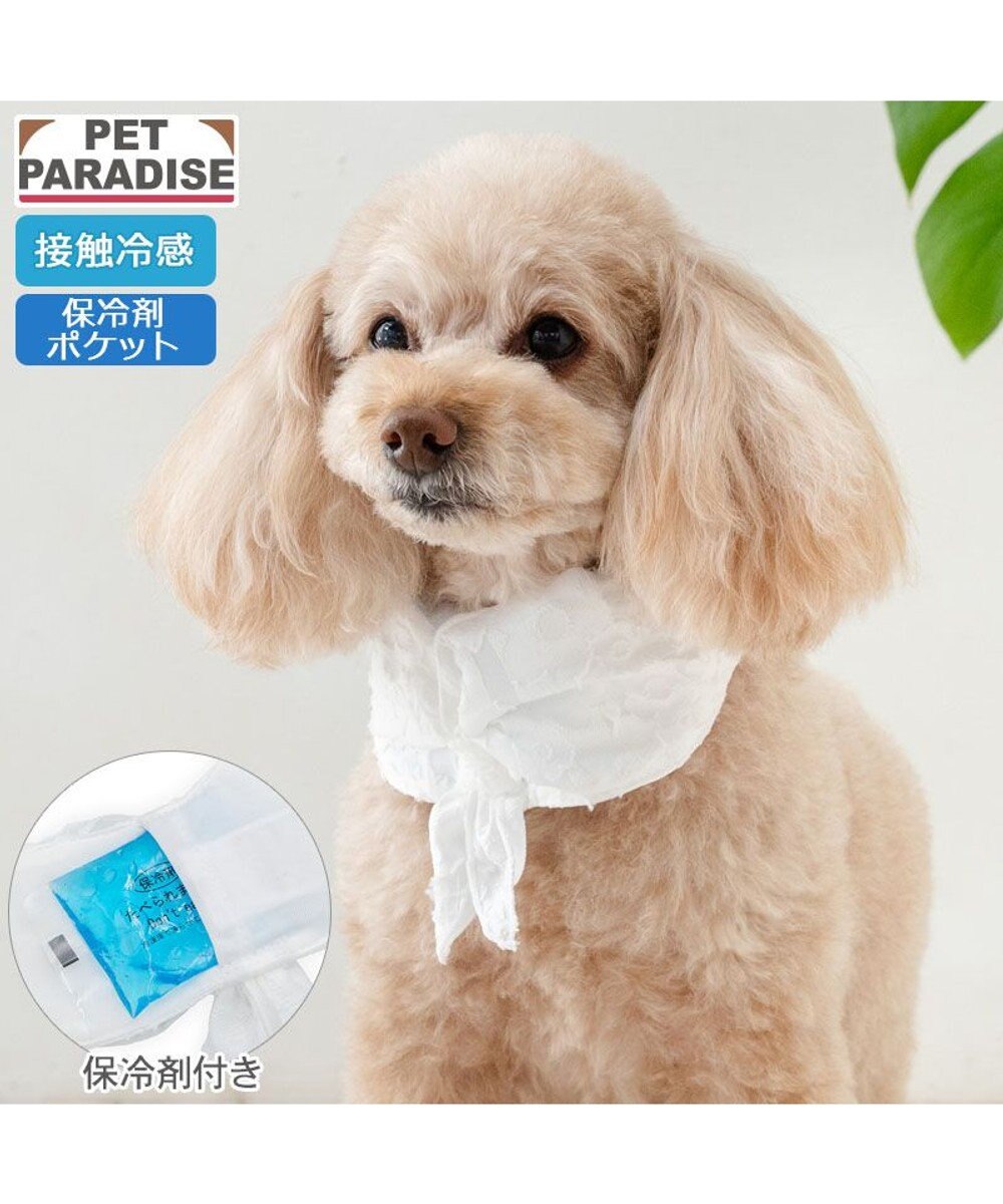 PET PARADISE ペットパラダイス クールバンダナ 《花柄》 小型犬 