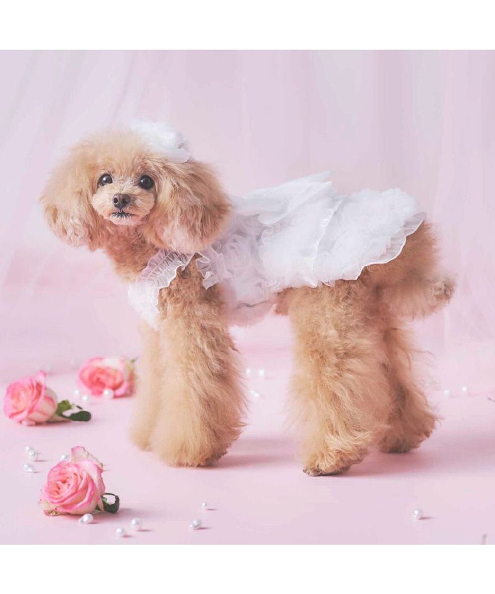 PET PARADISE cherircouture メニ―ローズ ワンピース ホワイト 小型犬 