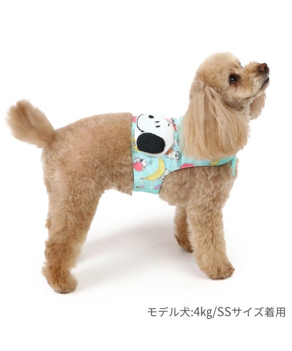 PET PARADISE スヌーピー クールベスト 《果物柄》 小型犬 