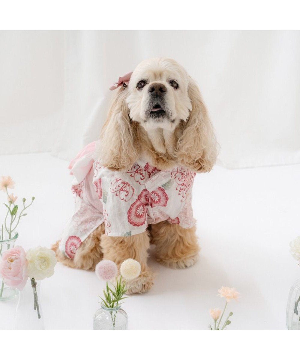 PET PARADISE ペットパラダイス 菊柄 浴衣 桃  中型犬 大型犬 