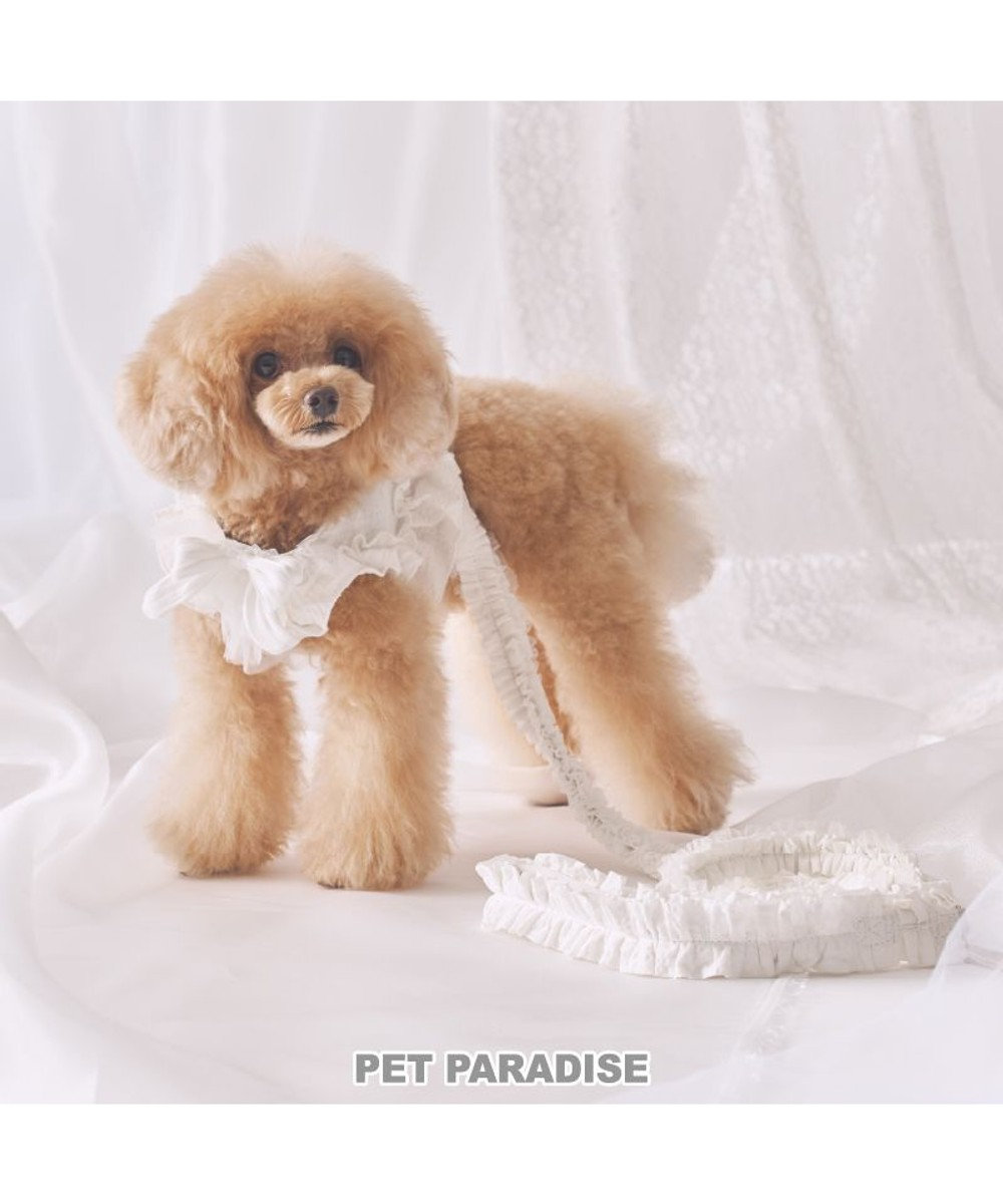 PET PARADISE cherircouture フリフリ リード 《ホワイト》４Ｓ～３Ｓ  小型犬 ホワイト