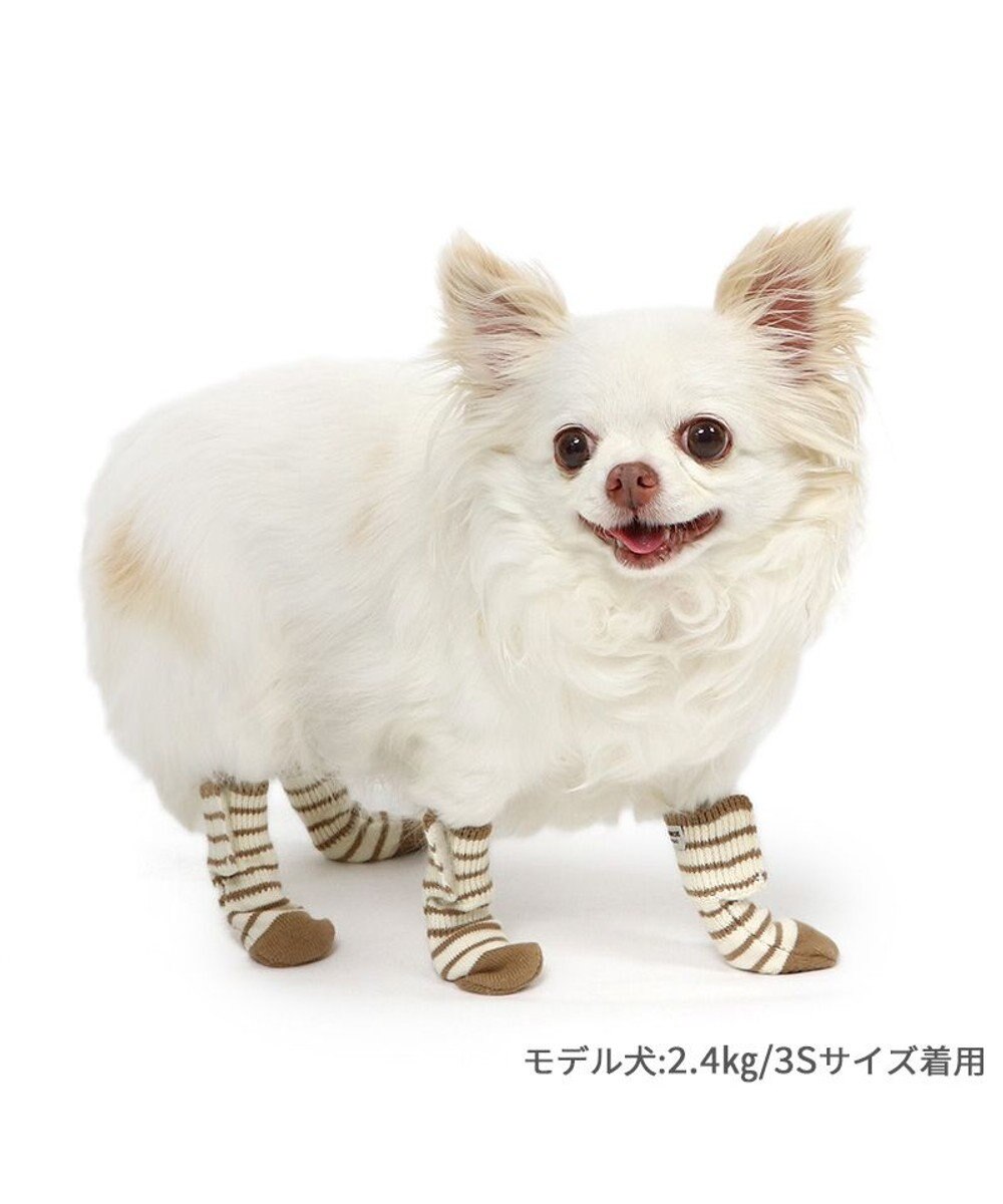 PET PARADISE ペットパラダイス makokoro スリット 靴下  《ボーダー》  ＳＳ 小型犬 