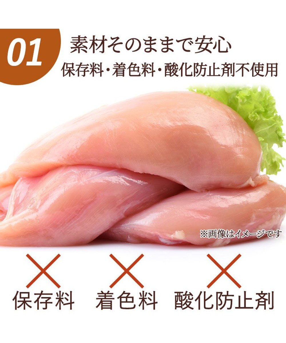 PET PARADISE フリーズドライ 鶏むね肉ほぐし 大袋 55g 国産 