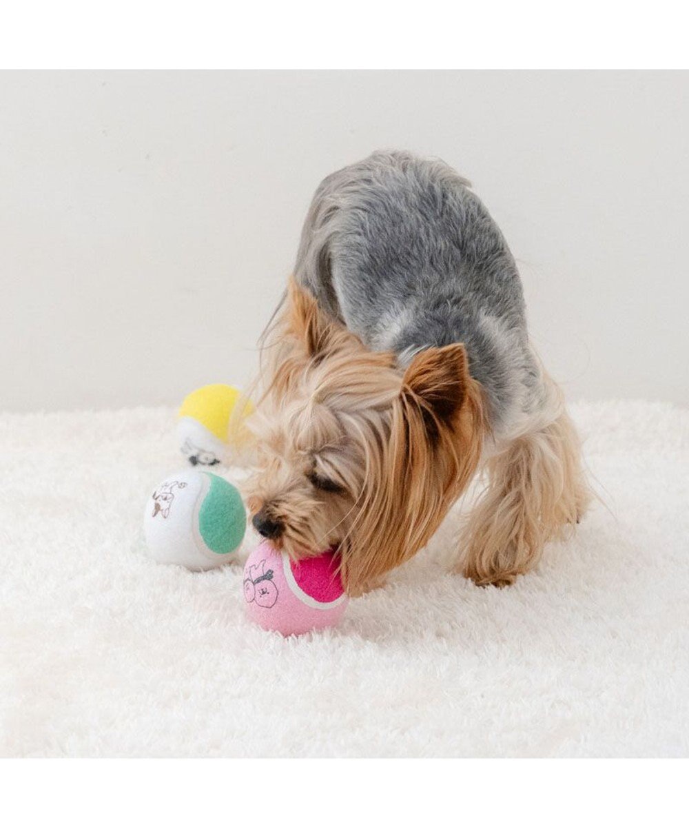 PET PARADISE ペットパラダイス テニスボール トイ ３個セット 