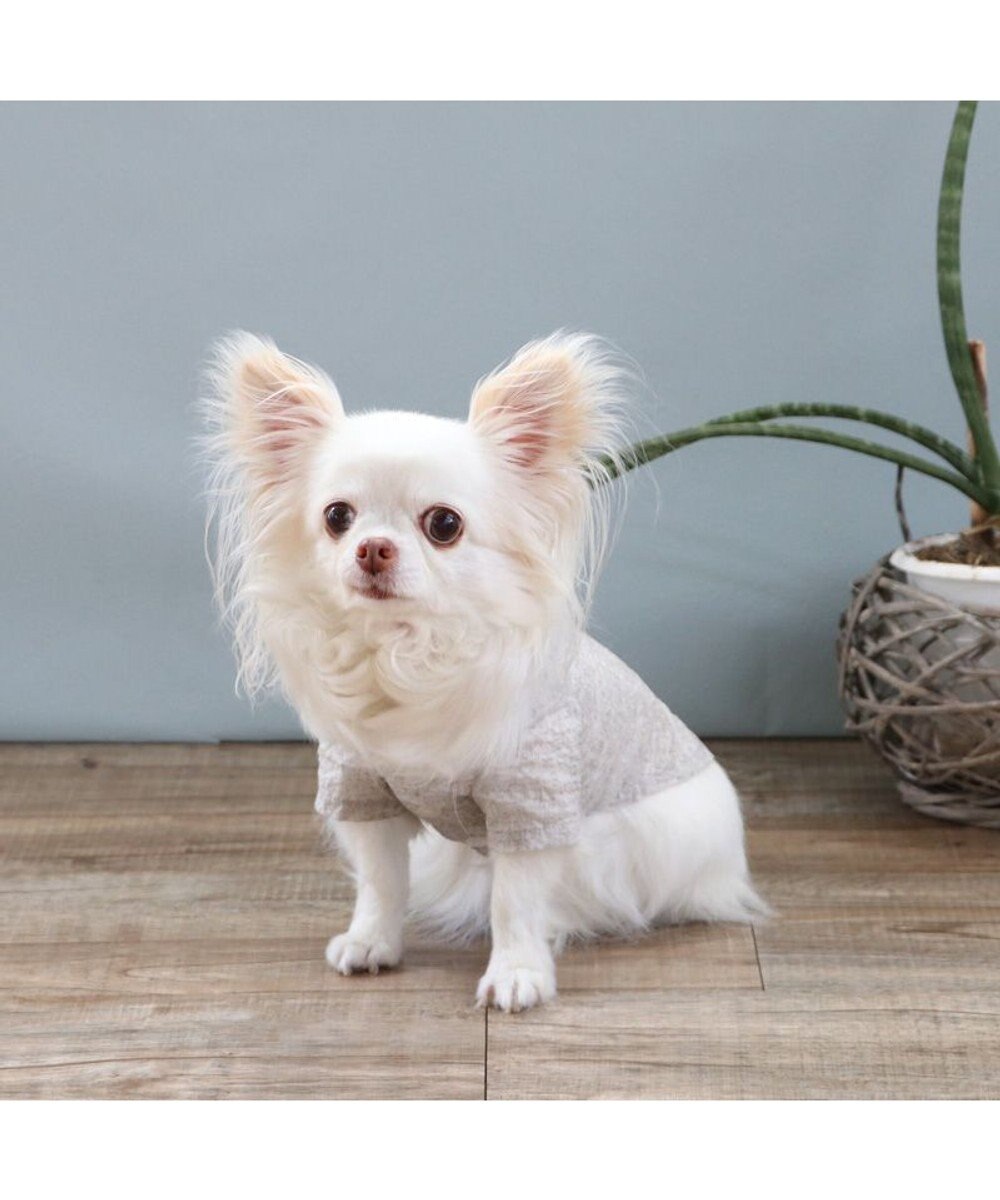 PET PARADISE J.PRESS 杢 ウェーブシャツ 《グレー》 小型犬 