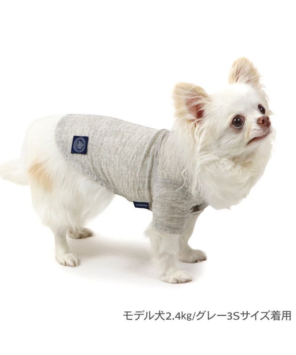 PET PARADISE J.PRESS 杢 ウェーブシャツ 《グレー》 小型犬 