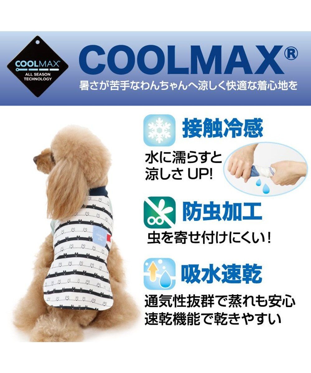 犬服 犬 服 ペットパラダイス リサとガスパール クール 接触冷感 虫よけ ボーダー Tシャツ 小型犬 超小型犬 小型犬 天竺 ひんやり 夏 涼感 冷却 吸水速乾 クールマックス Pet Paradise 通販 雑貨とペット用品の通販サイト マザーガーデン ペットパラダイス