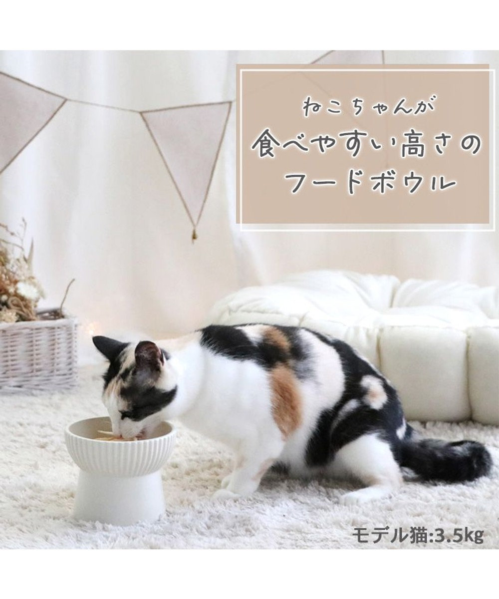 受注生産】 猫 食器 フードボウル 陶器 オーダーメイドフードボウル