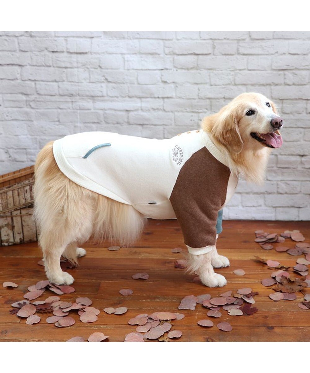 PET PARADISE ペットパラダイス ワンダフルストレッチ フリース トレーナー 《クレイジーカラー 》中型犬 大型犬