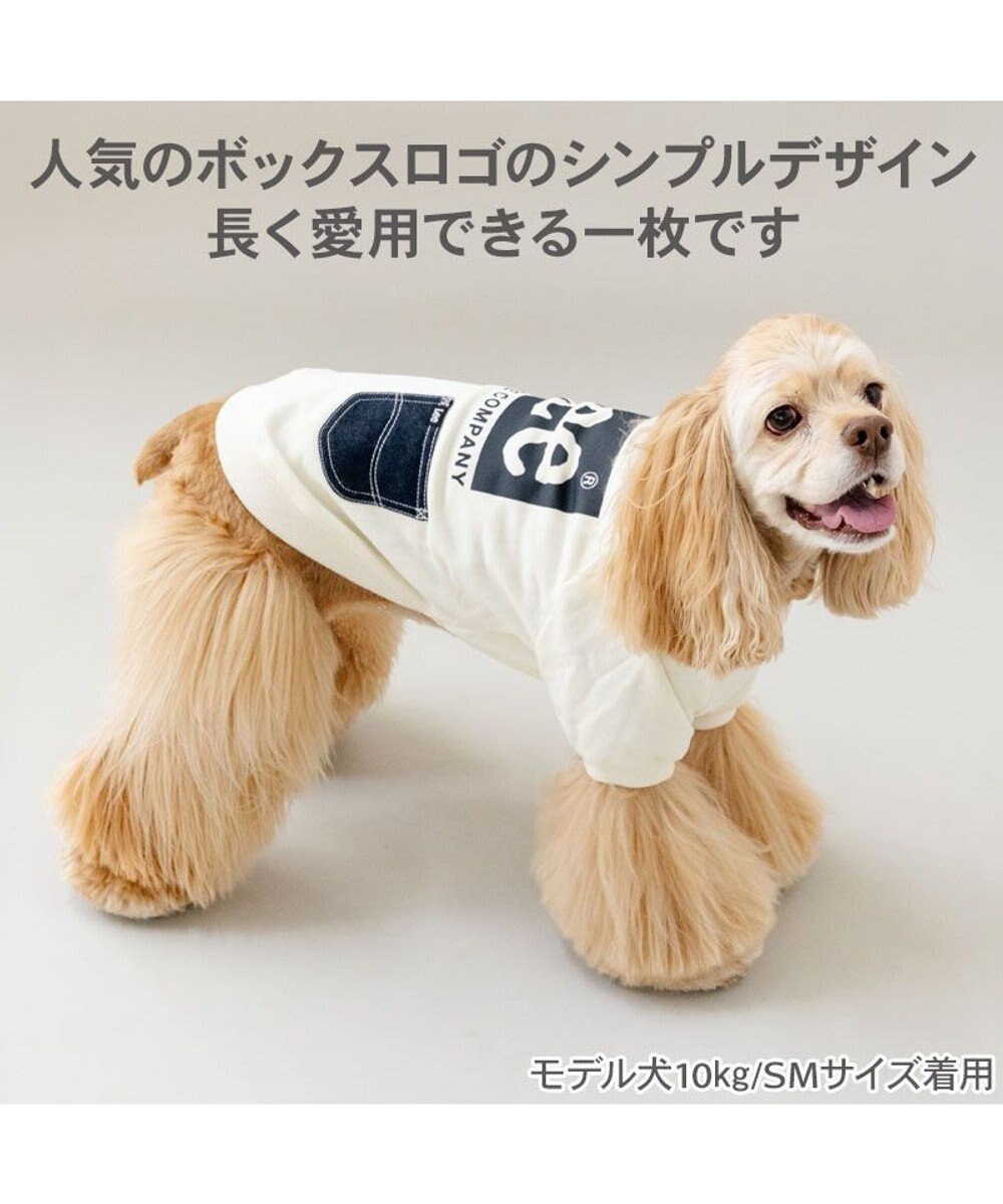 PET PARADISE Lee ボックスロゴ トレーナー ホワイト 中型犬 大型犬 