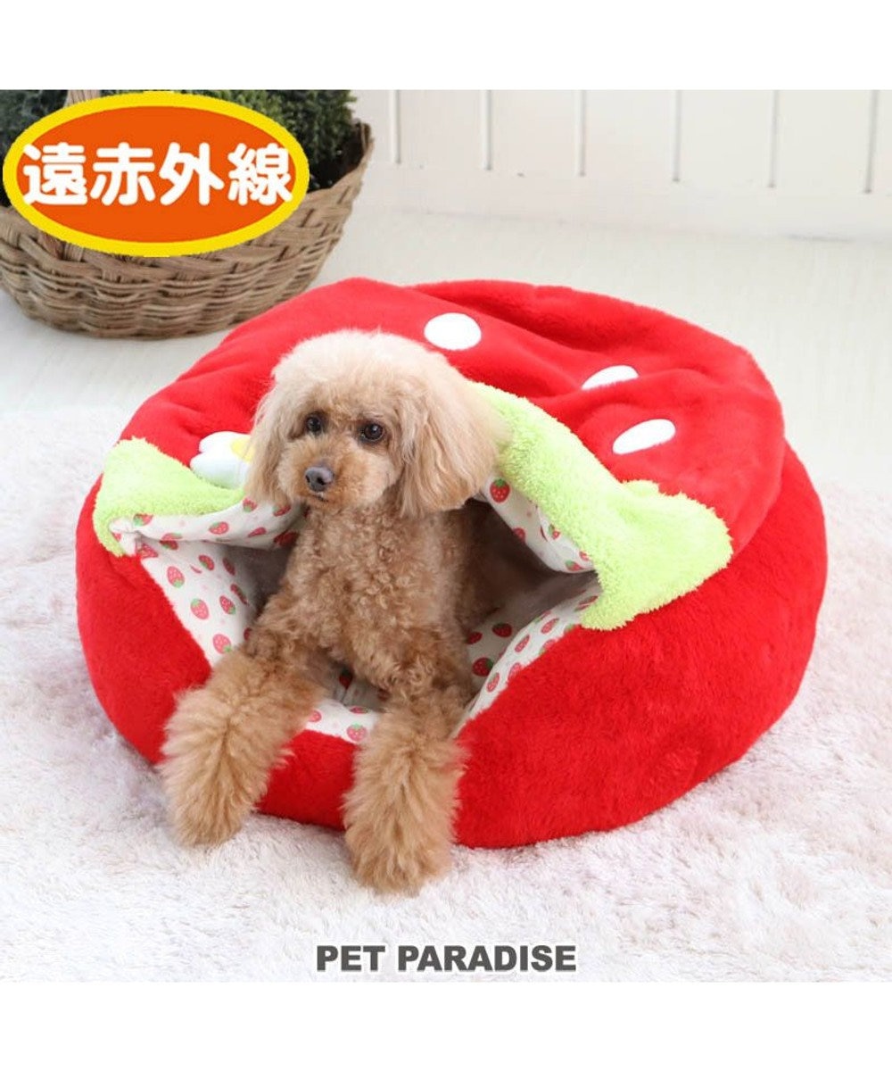 PET PARADISE 犬 ベッド おしゃれ 寝袋 カドラー (60cm) いちご 丸型 赤 犬 猫 ベッド 小型犬 かわいい ふわふわ ネット限定 赤