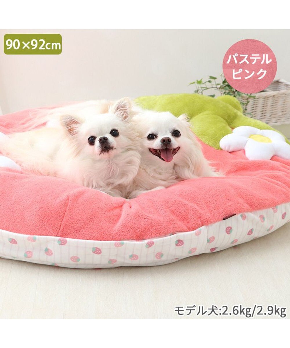 ネット店限定 ペットパラダイス 苺 クッション 《パステルピンク