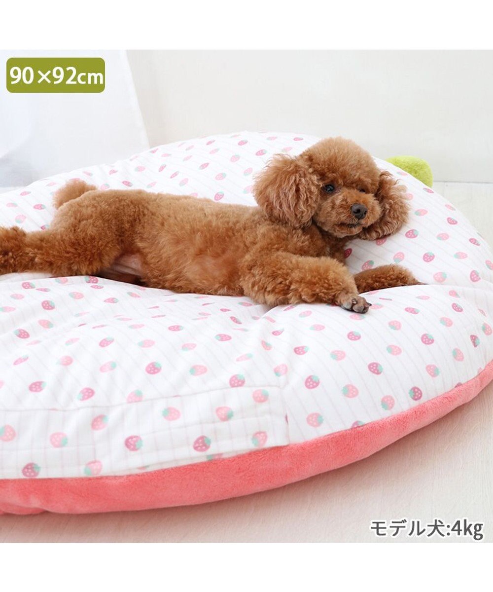 PET PARADISE ネット店限定 ペットパラダイス 苺 クッション 《パステルピンク》 L 小型犬 