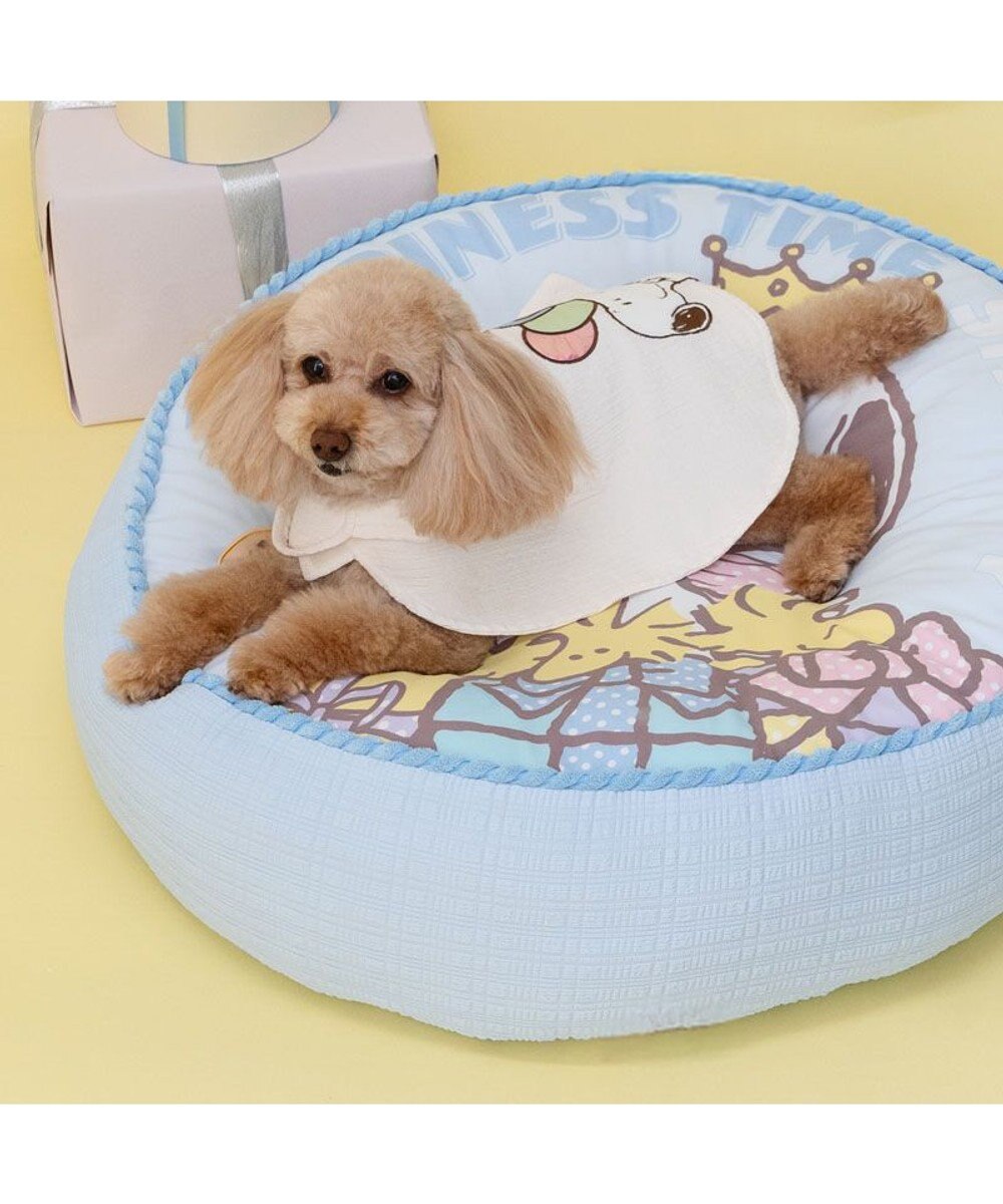 PET PARADISE スヌーピー バースデー ポンチョ 小型犬 