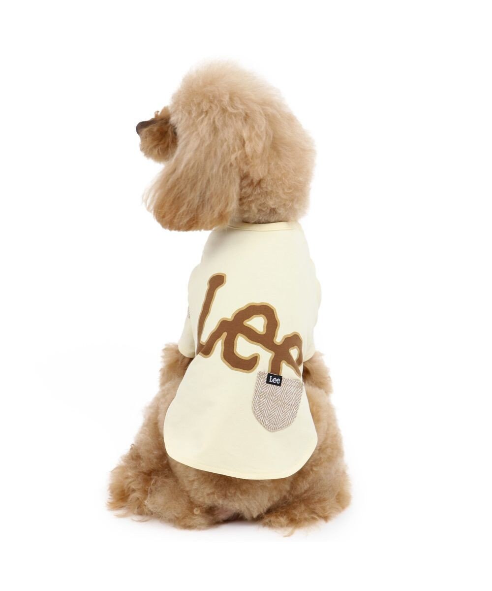 犬 服 Ｌｅｅ Ｔシャツ 〔小型犬〕 ビッグロゴ 犬服 犬の服 犬 服