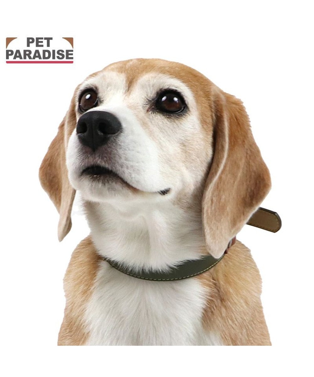 PET PARADISE ペットパラダイス 合皮 首輪 《カーキ》 中型犬 SM