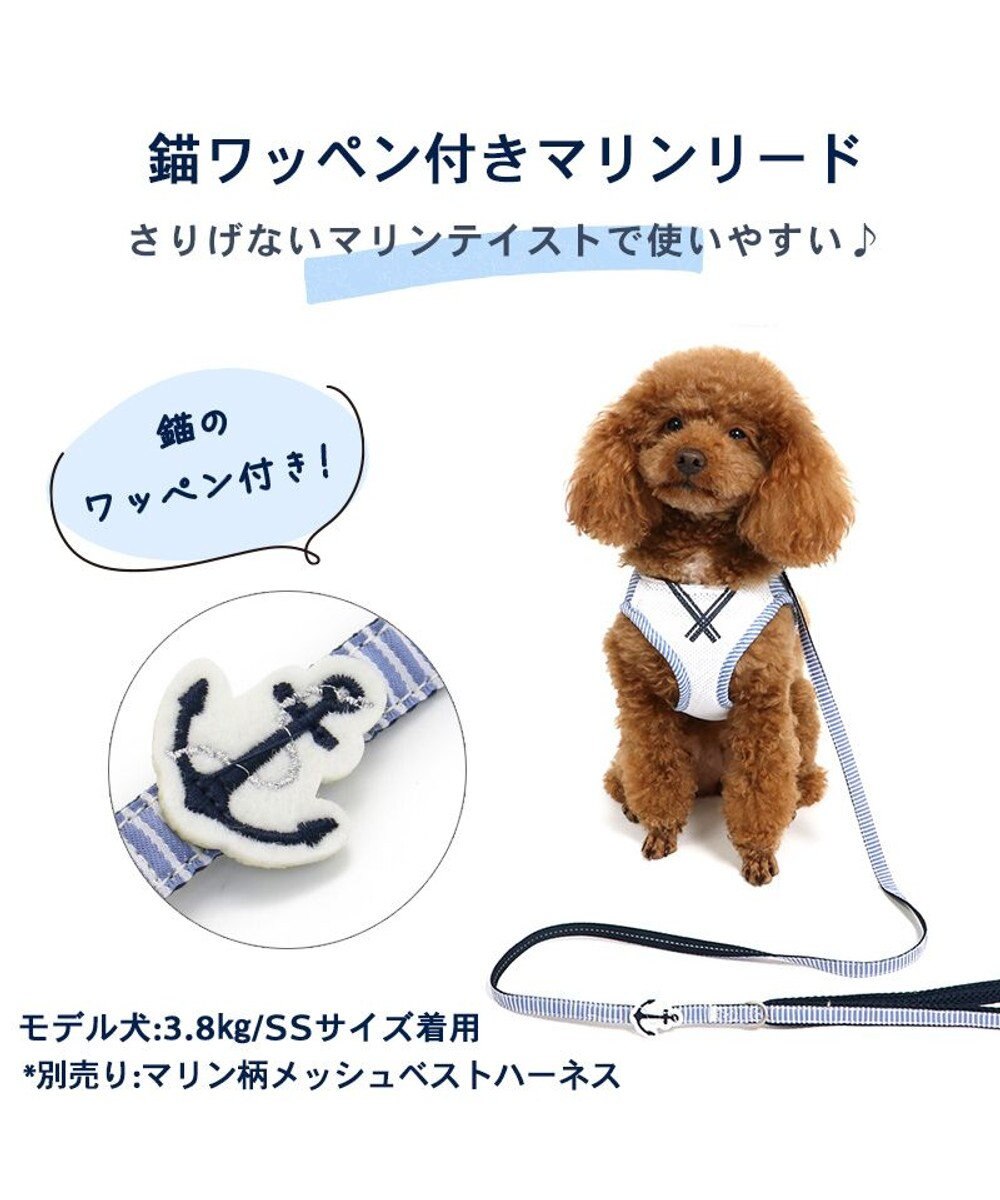 PET PARADISE 犬 リード 【4S~3S】 小花柄 マリン
