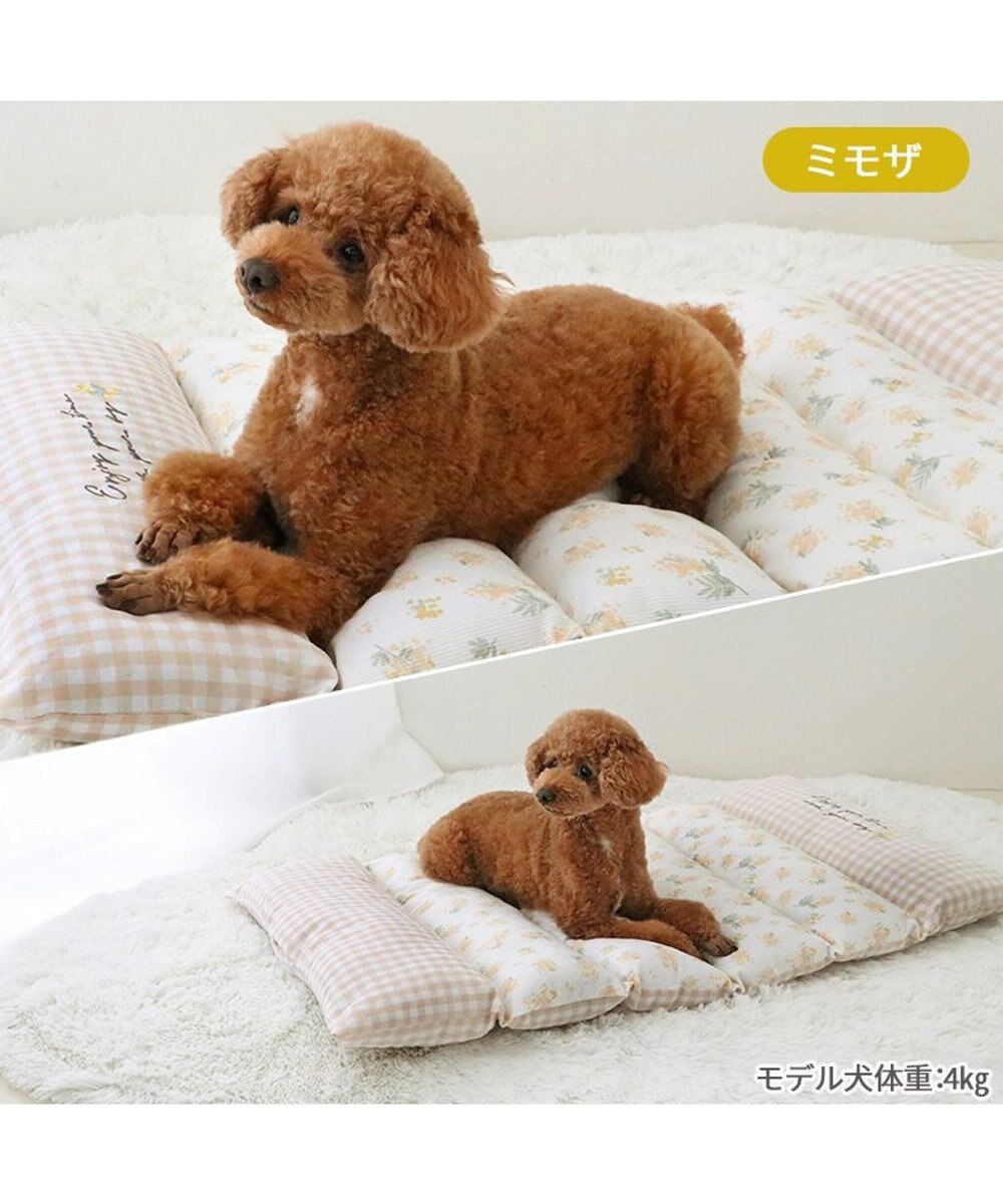 PET PARADISE ペットパラダイス ごろ寝マット 《ミモザ柄》 小型犬