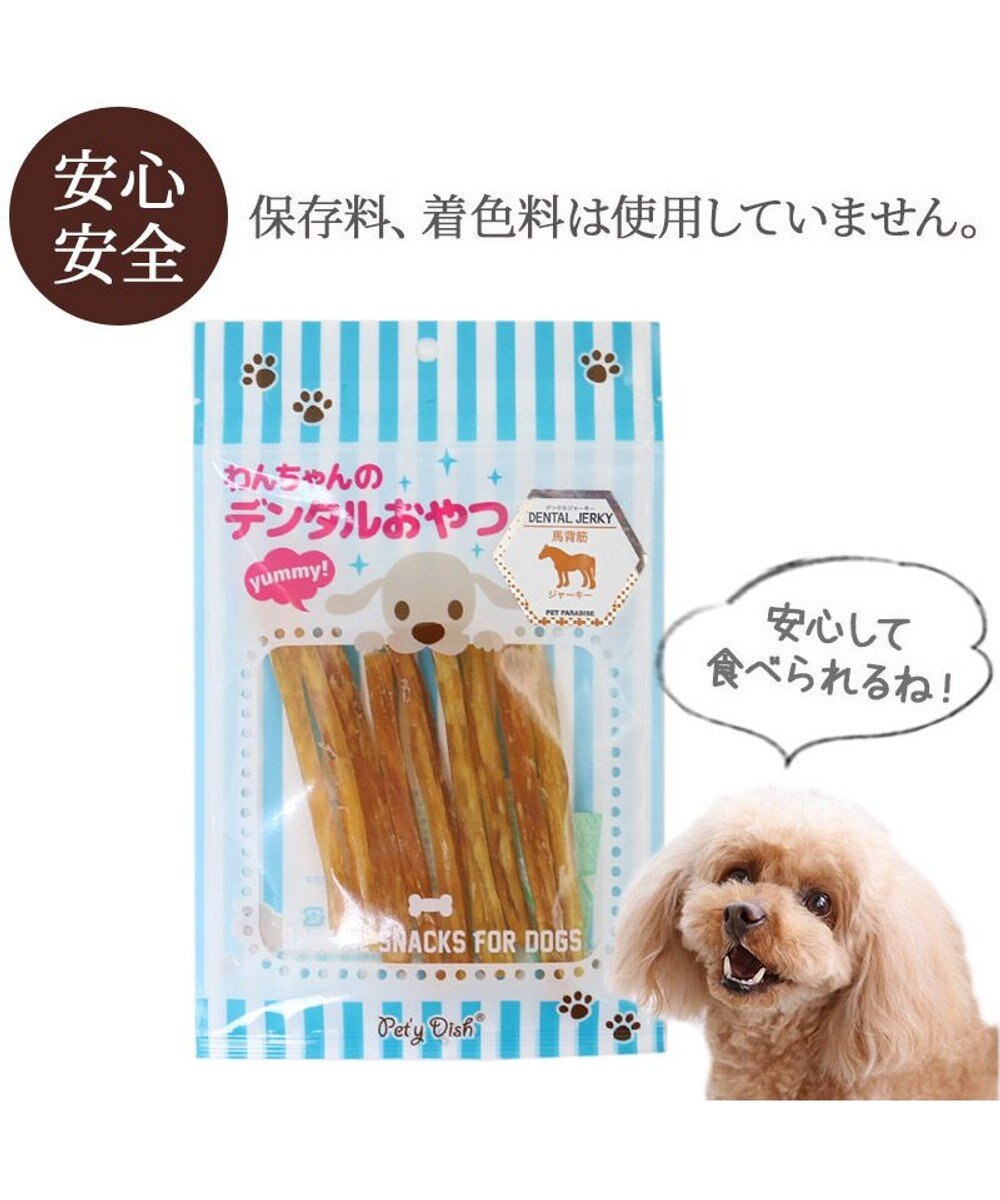 PET PARADISE 馬背筋デンタルジャーキー 40g