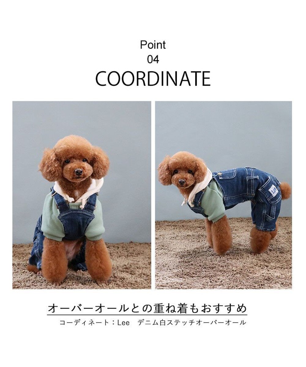 PET PARADISE Ｌｅｅ サガラ刺繍 パーカー  《グリーン》 小型犬 