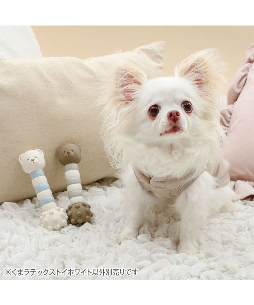 PET PARADISE ペットパラダイス くまちゃん ラテックス トイ 《ホワイト》