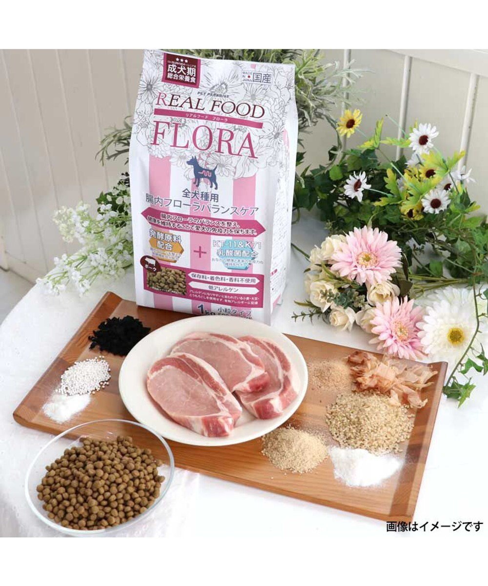 PET PARADISE ペットパラダイス  国産 ドッグフード フローラ3kg 