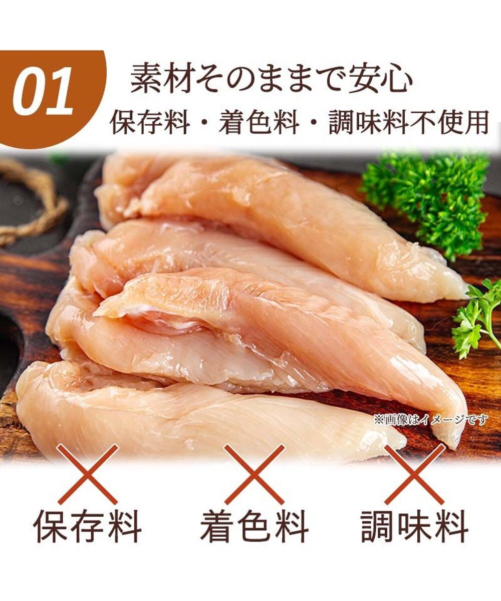PET PARADISE 鶏ささみフリーズドライ 大袋 55g 国産 